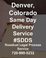 $99 Same Day Delivery Service #SDDS